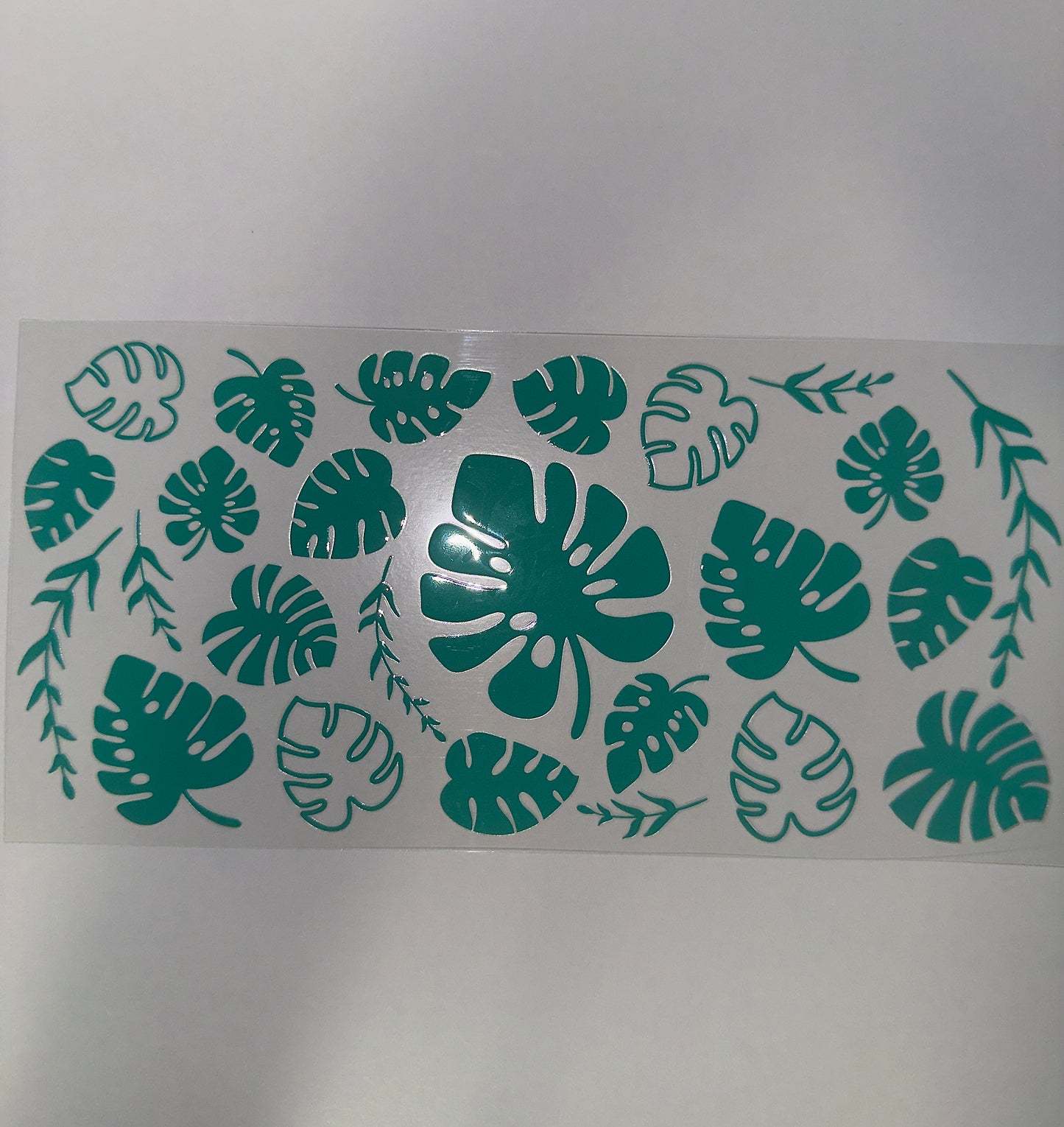 #456 - Monstera Leaves