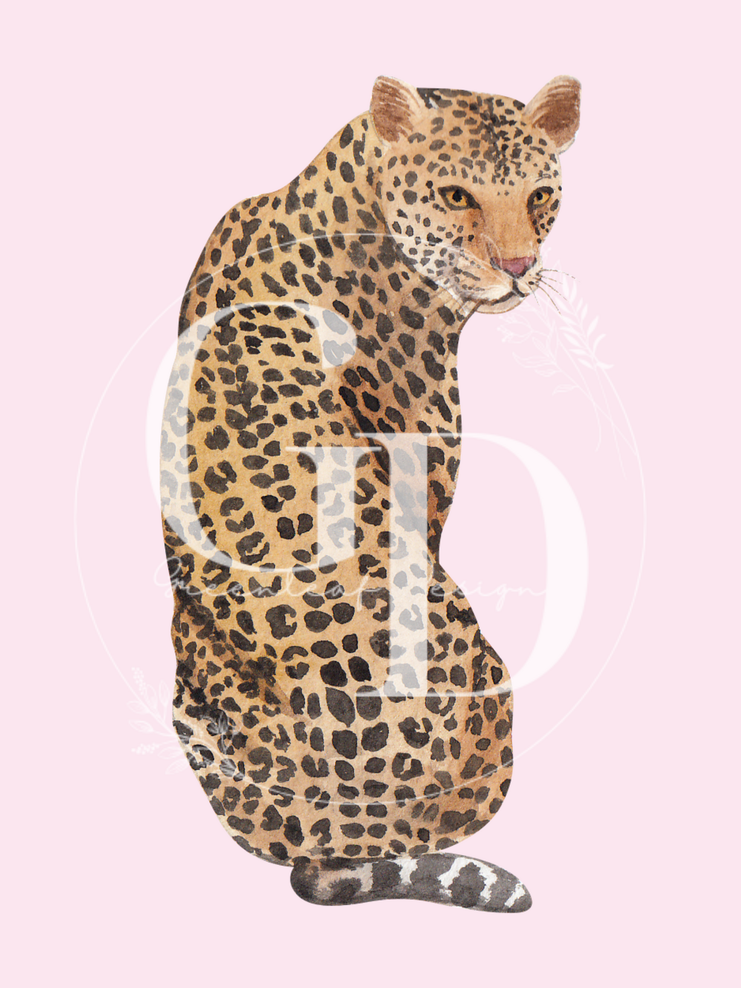 Trendy Cheetah Print Trio