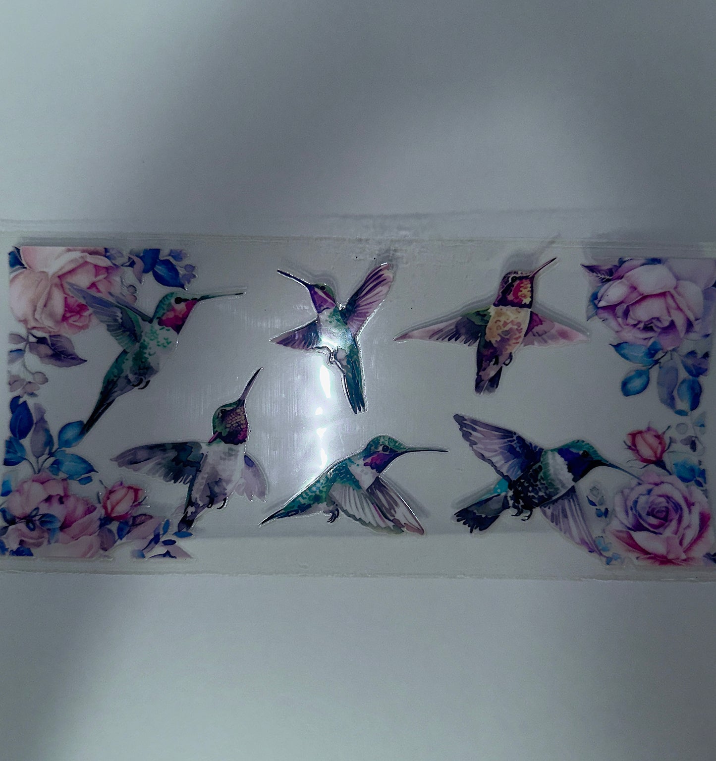 #486 - Hummingbirds